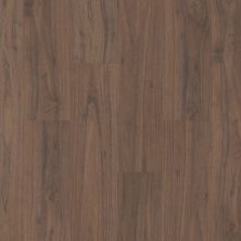 Shaw Floors Resilient Property Solutions Prominence Plus Smoked Walnut 07229_VE381