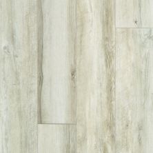 Shaw Floors Resilient Property Solutions Resolute XL HD Plus Seashell White Oak 01028_VE387