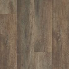 Shaw Floors Resilient Property Solutions Elan Plank Highlight Oak 07061_VE388