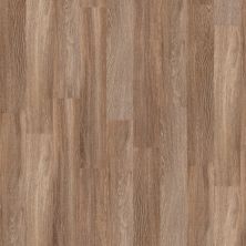 Shaw Floors Resilient Property Solutions Expo 6 II Seattle 00574_VE389