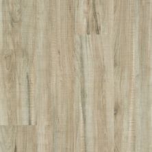 Shaw Floors Resilient Property Solutions Brio Plus 20 Chatter Oak 00295_VE429