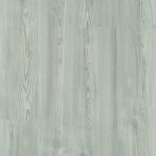 Shaw Floors Resilient Property Solutions Brio Plus 20 Clean Pine 05077_VE429