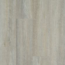 Shaw Floors Resilient Property Solutions Brio Plus 20 Greige Walnut 05078_VE429