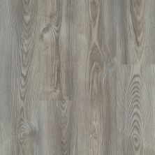 Shaw Floors Resilient Property Solutions Brio Plus 20 Mil Grey Chestnut 07062_VE429