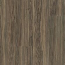 Shaw Floors Resilient Property Solutions Polaris Plus Cinnamon Walnut 00150_VE433