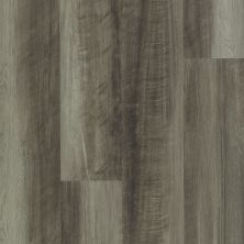 Shaw Floors Resilient Property Solutions Polaris Plus Oyster Oak 00591_VE433