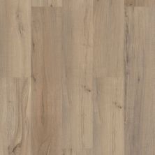 Shaw Floors Resilient Property Solutions Polaris Plus Driftwood 01056_VE433