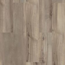 Shaw Floors Resilient Property Solutions Polaris Plus Sea Glass 05092_VE433