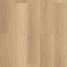 Shaw Floors Resilient Property Solutions Polaris Plus Castaway 07087_VE433