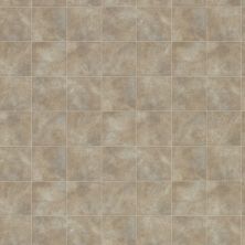 Shaw Floors Resilient Property Solutions Pro 12 Classics Tan 00150_VG054