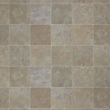 Shaw Floors Resilient Property Solutions Pro 12 Classics Smoke 00537_VG054