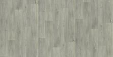 Shaw Floors Resilient Residential Urban Woodlands 65g Devon 00567_VG088