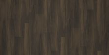 Shaw Floors Resilient Residential Urban Woodlands 65g Algon 00744_VG088