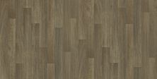 Shaw Floors Resilient Residential Natural Luxe  55g Grant 00145_VG089