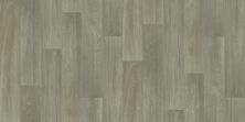 Shaw Floors Resilient Residential Natural Luxe  55g Turner 00153_VG089