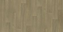 Shaw Floors Resilient Residential Natural Luxe  55g Mount Vernon 00232_VG089