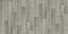 Shaw Floors Resilient Residential Natural Luxe  55g Newport 00582_VG089