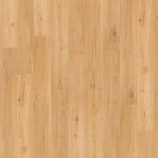 Shaw Floors Nfa HS Ellis Island 6 Mil San Francisco 00251_VH502
