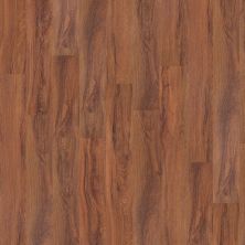 Shaw Floors Nfa HS Ellis Island 6 Mil St. Louis 00618_VH502