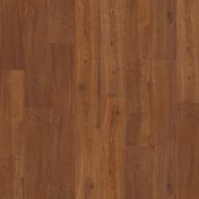 Shaw Floors Nfa HS Barton Plus Universal 00620_VH516