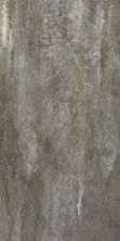 Shaw Floors Nfa Premier Gallery Resilient Wentworth Water Chestnut 00543_VH531