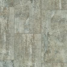 Nfa HS Beaver Creek Tile Shaw Floors  Slab 00583_VH546