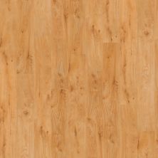 Shaw Floors Resilient Property Solutions Silva Light Cherry 00210_VPS54