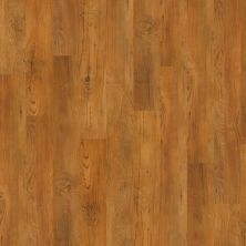 Shaw Floors Resilient Property Solutions Silva Antique Chestnut 00230_VPS54