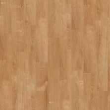 Shaw Floors Resilient Property Solutions Silva Natural Oak 00240_VPS54