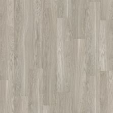 Shaw Floors Resilient Property Solutions Cameron Plus Shadow 00520_VPS81