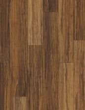 Shaw Floors Resilient Residential Virtuoso 5″ Pinyin Bamboo 00510_VV023