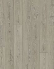 Resilient Residential COREtec Plus Plank HD Shaw Floors  Timberland Rustic Pine 00641_VV031