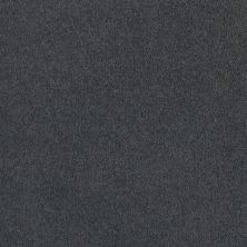 Shaw Floors Roll Special Xv131 (s) Gun Metal