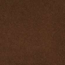 Shaw Floors Roll Special Xv131 (s) Fudge