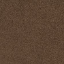 Shaw Floors Roll Special Xv131 (s) Dark Spice