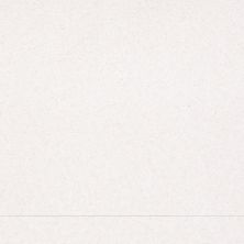 Shaw Floors Roll Special Xv136 15' Sweet Cream