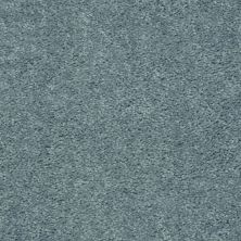 Shaw Floors Roll Special Xv184 15′ Unspecified 00454_XV184
