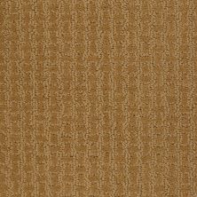 Shaw Floors Roll Special Xv284 Golden Wheat 00201_XV284