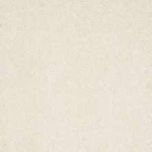 Shaw Floors Roll Special Xv308 Fine China