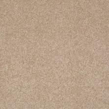Shaw Floors Roll Special Xv309 Townhouse Taupe