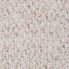 Shaw Floors Roll Special Xv352 Wild Rice 00102_XV352