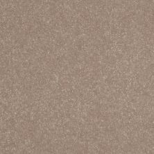 Shaw Floors Roll Special Xv425 Tantalizing Taupe 00103_XV425