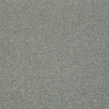 Shaw Floors Roll Special Xv425 Stainless 00512_XV425