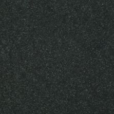 Shaw Floors Roll Special Xv425 Charcoal 00515_XV425