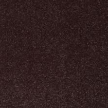 Shaw Floors Roll Special Xv425 Dark Chocolate 00716_XV425