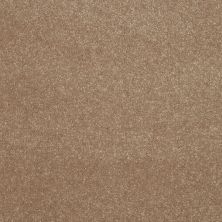 Shaw Floors Roll Special Xv436 Canvas 00102_XV436