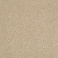 Shaw Floors Roll Special Xv436 Alluring 00700_XV436