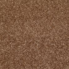 Shaw Floors Roll Special Xv463 Ridgecrest 00702_XV463