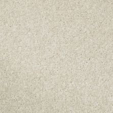 Shaw Floors Roll Special Xv540 Snow Cone 00100_XV540