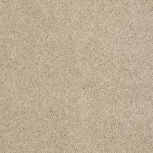 Shaw Floors Roll Special Xv540 Project Beige 00102_XV540